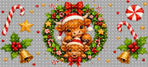 16oz Christmas-S  3050